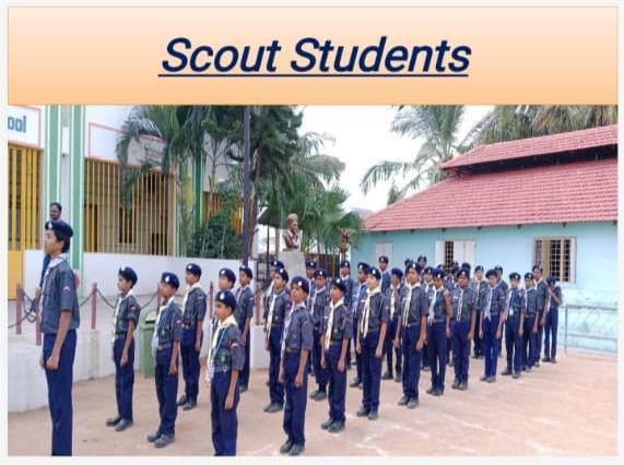 scout students
